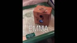 JEFF FENT EMMITT BOX