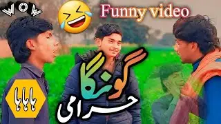 Gunga Harami 2024 |Funny video |comdy video |MJ Funny Munde |