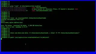 How To Change Or Move Nginx Web Document Location on Ubuntu 18.04