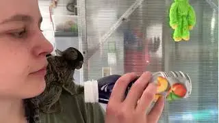 Мусор - лучшие игрушки!