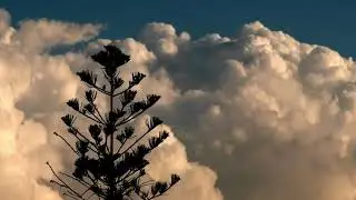 TIMELAPSE OF THE FUTURE: A Long Journey to the End of Time (FULL HD) (4K) Beautiful Travelling