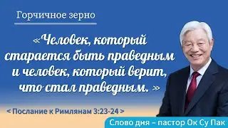 Горчичное зерно № 2