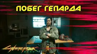 Cyberpunk 2077 - Побег гепарда 🟡49