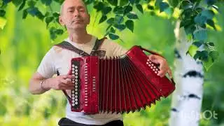 #гармонь