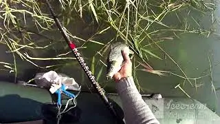 БЕШЕНЫЙ ЖОР КАРАСЯ / ОСЕННЯЯ РЫБАЛКА по ХОЛОДНОЙ ВОДЕ    Хотел КАРПА, но КАРАСЬ занял МЕСТА ЛОВА!!!