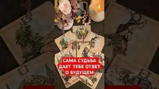 Сама судьба дала ответ! #shorts
