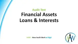 6.50 Audit test - Financial Assets - Loans & Interests PREVIEW