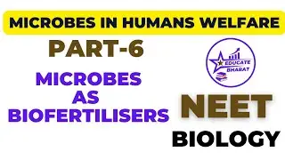 Microbes as biofertilisers | MICROBES In human welfare | Part 6 | Neet | Saumya Maurya