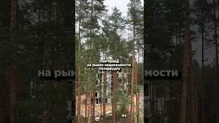 Топ - тренд на рынке недвижимости Петербурга 😍 #апартаменты #инвестиции #инвестициивнедвижимость