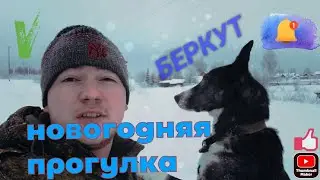 ЗИМНЯЯ ПРОГУЛКА С СОБАКОЙ. С псом по СУГРОБАМ!
