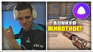 АЛИСА ОБЗЫВАЕТ AUNKERA! | COUNTER-STRIKE 2