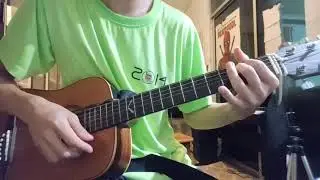 The Beatles - It's ok to leave a dog in a hot car ( Guitar Chords Lesson )