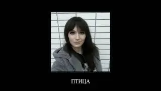 помянем 