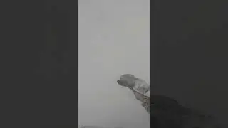 JaPow on Pilskaido