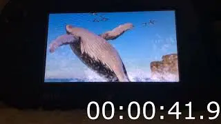 Endless Ocean: Blue World - Any% in 1:57:29 (World Record)