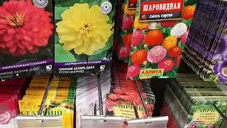 ЛЕРУА МЕРЛЕН ,   прогулка , покупки .
