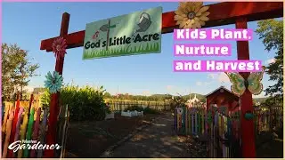 Children's Teaching Garden | Volunteer Gardener
