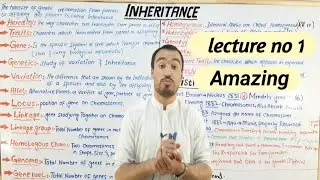 inheritance  ,Introduction,  very important termologies full detail lecture in hindi and urdu.