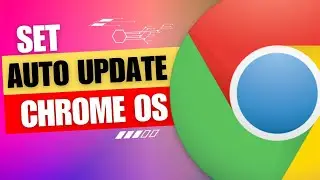 How to Update Chrome OS on Any PC/ Laptop?