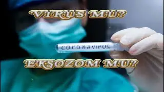 Virüs mü Eksozom mu? | Bunu Bilmelisiniz!
