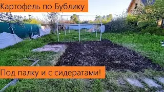 Май 2024. Посадка картофеля по Бублику и не только! БЕЗ ЛОПАТЫ И МОТОБЛОКА! ТОЛЬКО ПАЛКА И СИДЕРАТЫ!