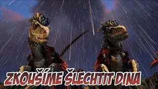 Zkoušíme šlechtit dina ll ARK: Survival Evolved CZ