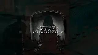🐍 SLYTHERIN | Walking with the Snakes in the Gras
