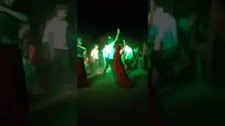 આદિવાસી ટીમલી વિપિન  makhodiya