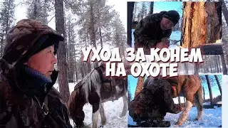 Как ухаживать за конем на охоте?! Как завязывать правильные узлы?!