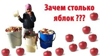 Зачем столько яблок. Яблочный сок собственными руками