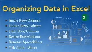 Inserting A New Row or Column in Excel | Organizing Data in Excel | Excel Tutorials in Hindi