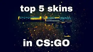 Top 5 skins in CS:GO