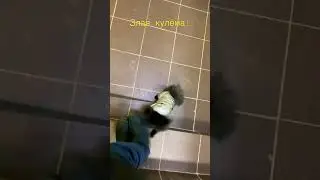 Злая Кулёма!