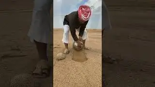 Dessert of Madinah | After Rain in Madinah Dessert | Water in Dessert #shorts