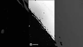 Black and White Nature