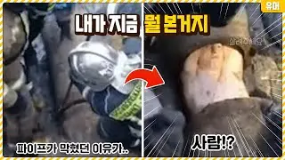 두 눈을 의심하게 만드는 상황들 11탄