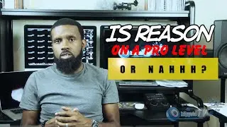 IS PROPELLERHEAD REASON PROFESSIONAL ENOUGH OR NAH?