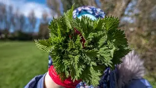 How to cook Nettles | Tasty Vegan Nettle recipe for strong immune