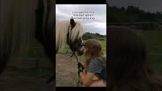 Abo spezial 1000 Abos jej meine Reitgeschichte habt ihr Fragen