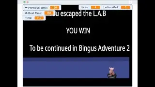 Bingus Adventure any% 110 in-game seconds