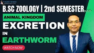 B.Sc Zoology | Excretion in Earthworm
