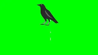 Crow Shit On Green Screen Template | animationgifs | Animation Crow On Green Screen | Crow Template