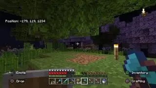 The tree grew