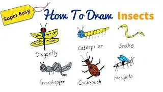 6 Insects Drawing And Coloring | How To Draw Butterfly, Snake, Caterpillar and More