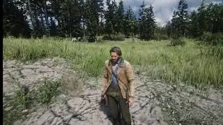 Red Dead Redemption 2 in VR