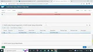 Profit Center Group in SAP MDG using Fiori App - Session 3