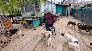 Пополнение у придворных