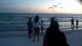 Tarde en las playas de sarasota Florida