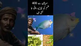 soyabin business idea in Pakistan short video