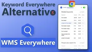 Keyword Everywhere Alternative Chrome Extention [WMS Everywhere]